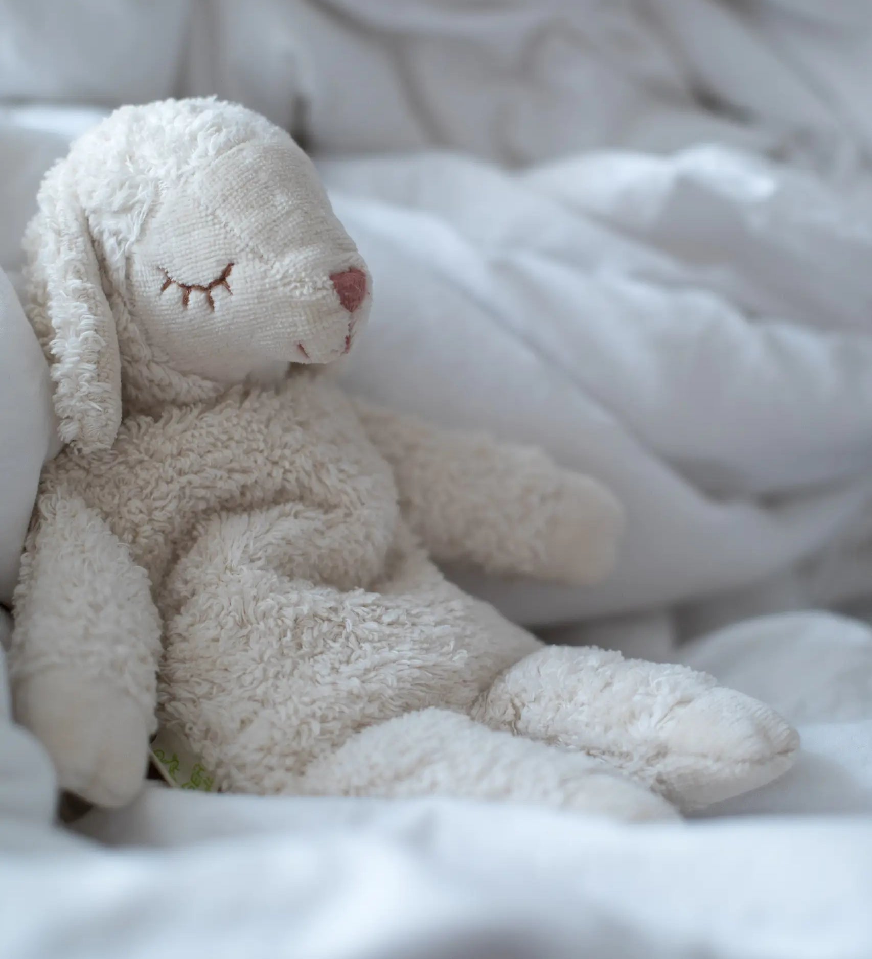 Senger GOTS organic cotton small cuddly white sheep toy sitting on against a blanket