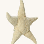 Senger Small Cuddly Starfish soft toy.
