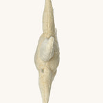 Side profile view of the Senger Small Cuddly Starfish soft toy.