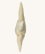 Side profile view of the Senger Small Cuddly Starfish soft toy.