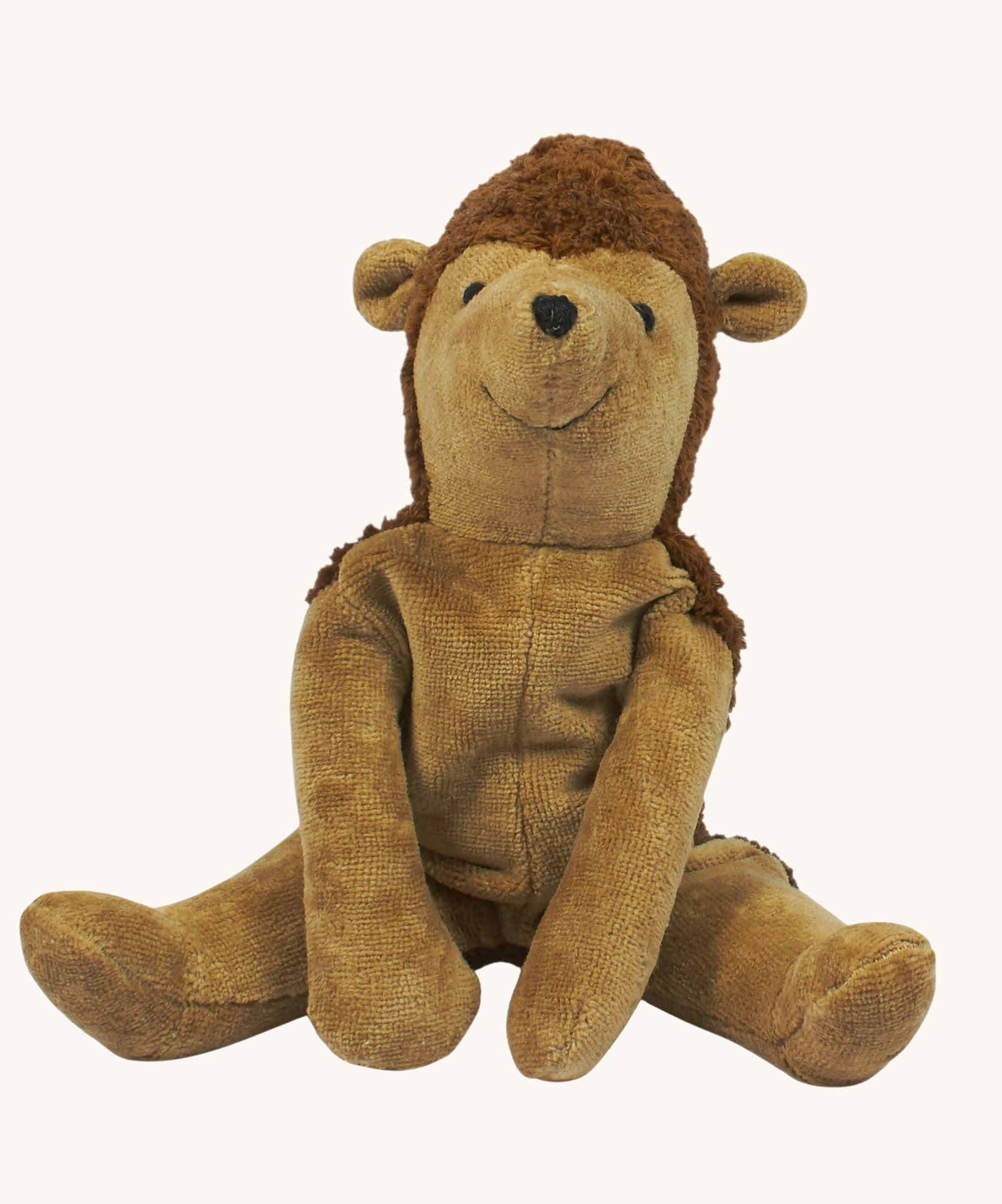 A Senger Small Floppy Hedgehog placed in a seated position.