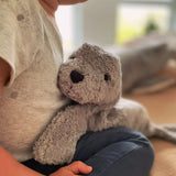 Child with a small Senger grey seal cuddly toy on their knee showing a close up of its face