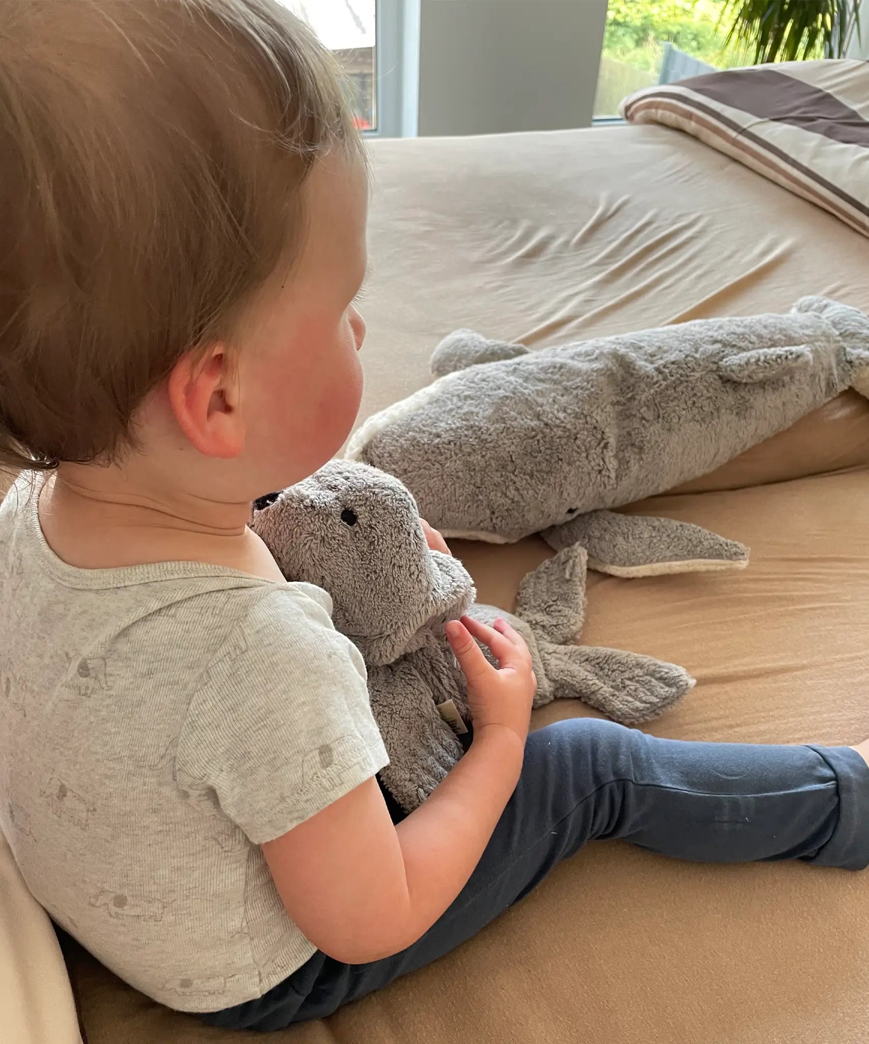 Child sitting with a small Senger grey seal cuddly toy on their knees