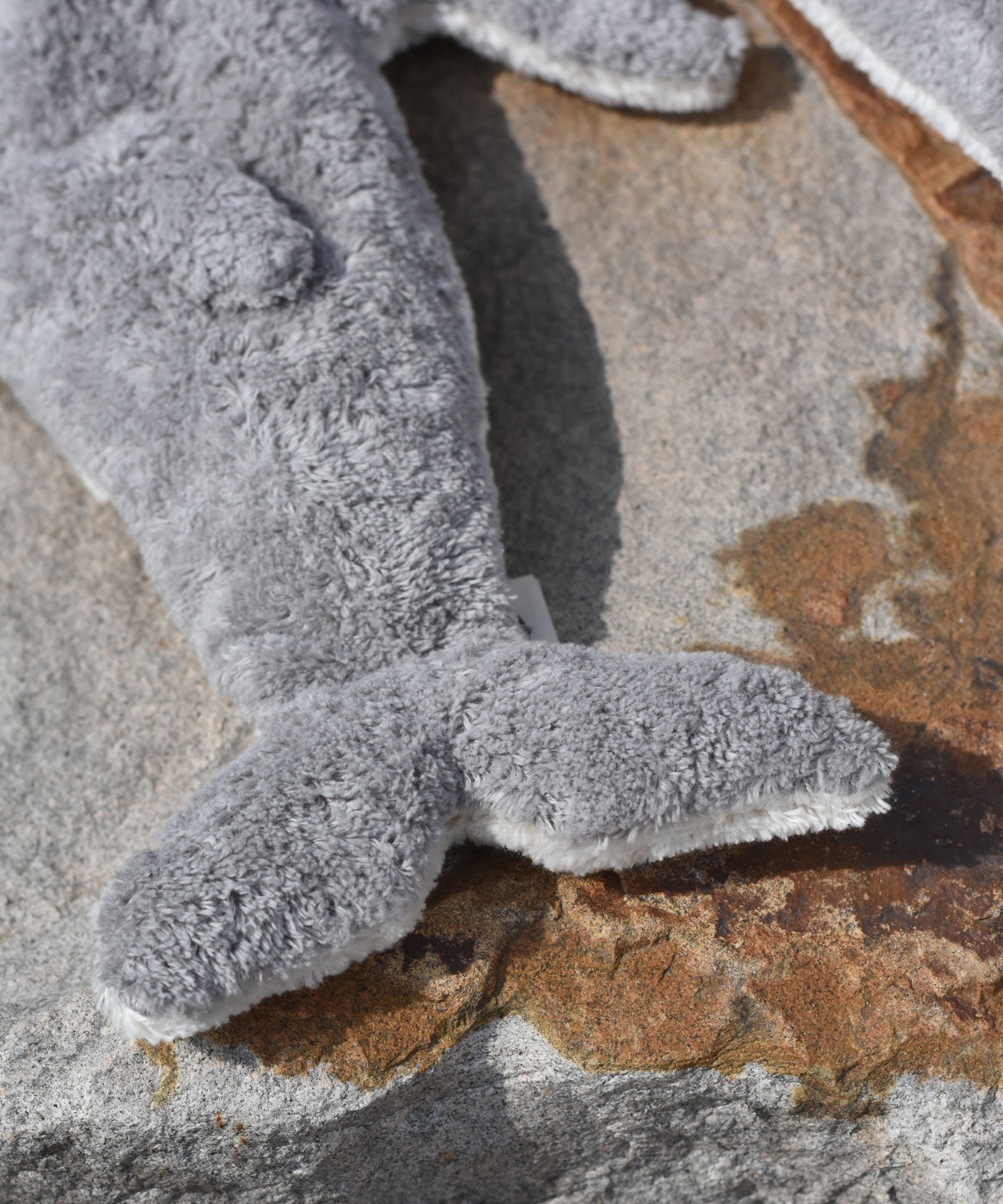 A close up of the small Senger cuddly whale's tail. 
