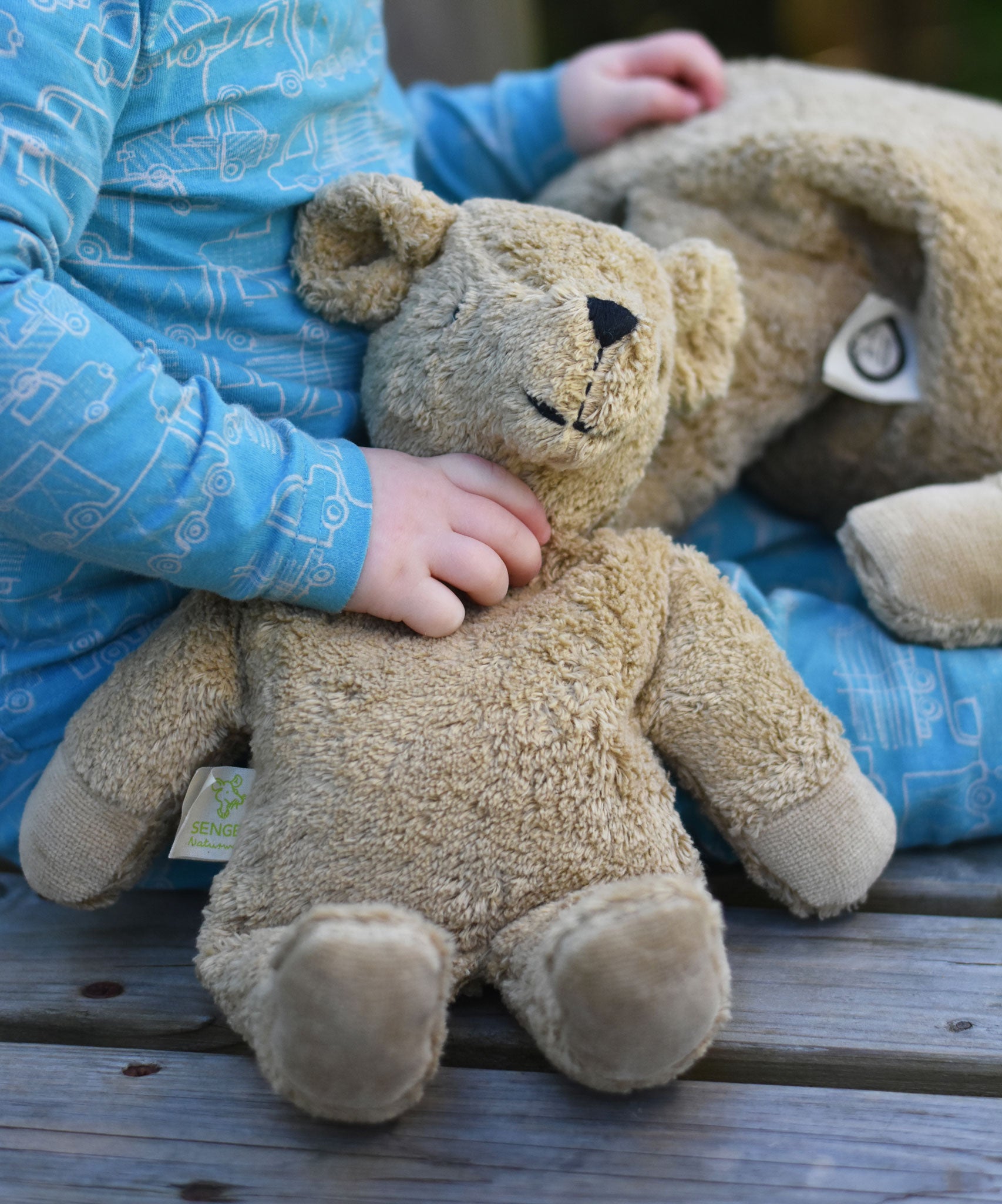 A close up of a small Senger beige cuddly teddy bear in a child's hand.
