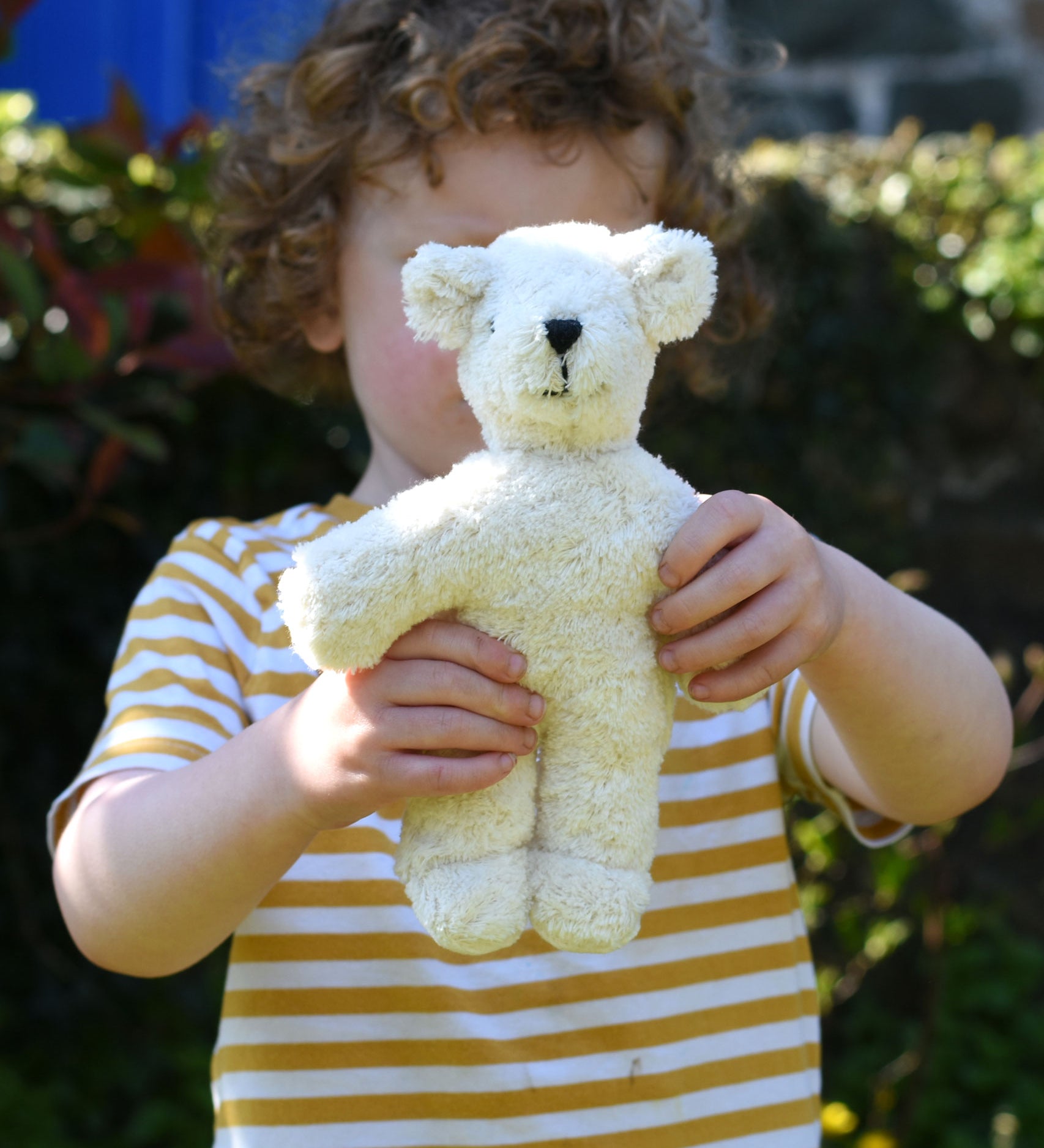 A child holding up a Senger white baby bear organic teddy. 