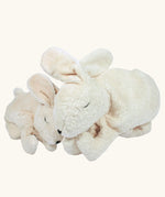 Senger large white cuddly rabbit soft toy next to the smaller version. 
