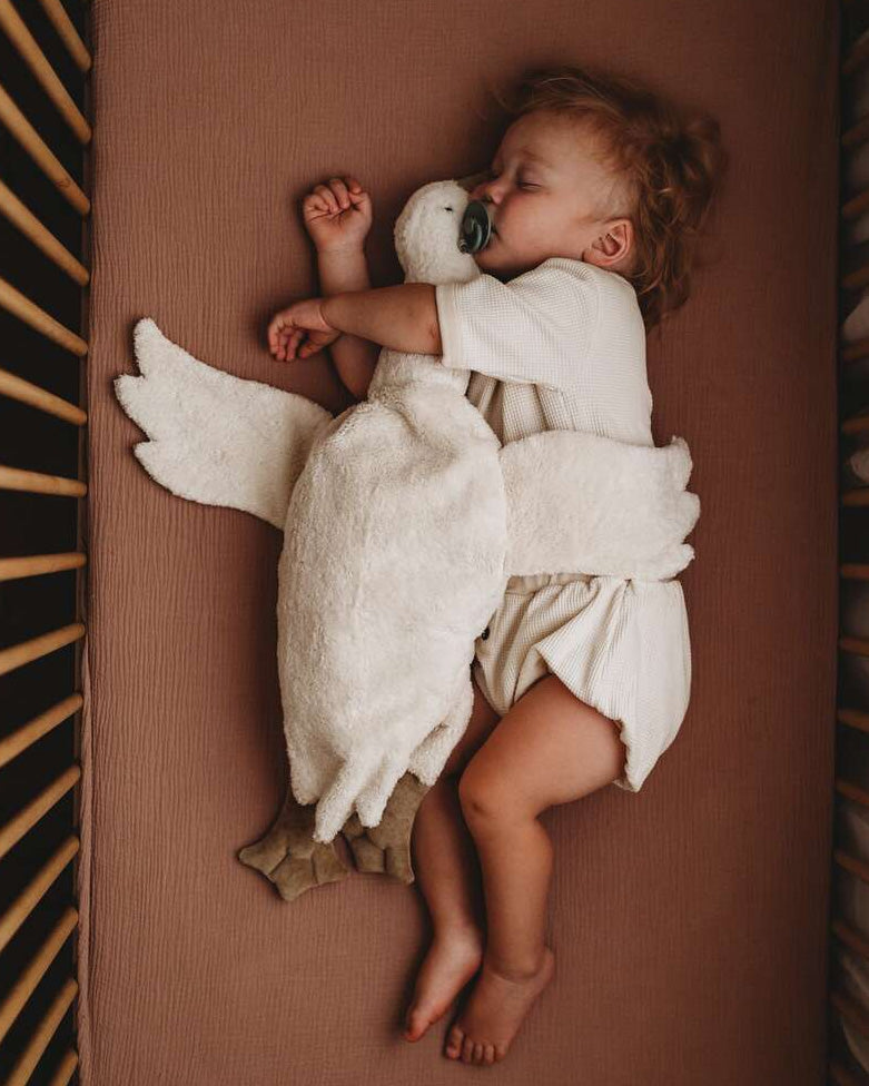 child hugging senger white goose while sleeping