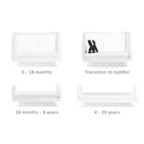 The different stages and set ups of the SnuzKot  pictured on a plan background