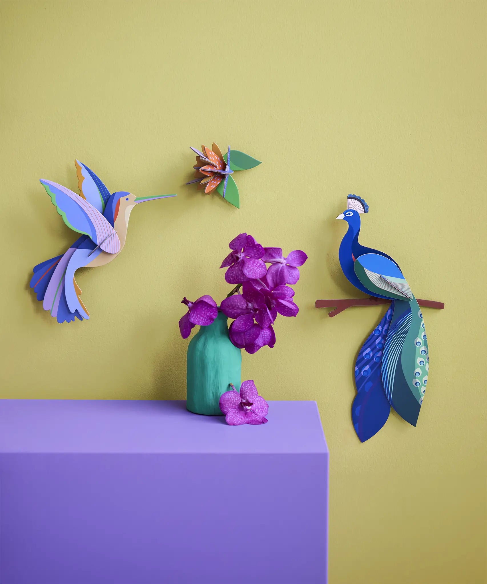 A Studio Roof 3D paradise peacock bird perched on a branch craft kit displayed on a wall next to a hummingbird and bird model