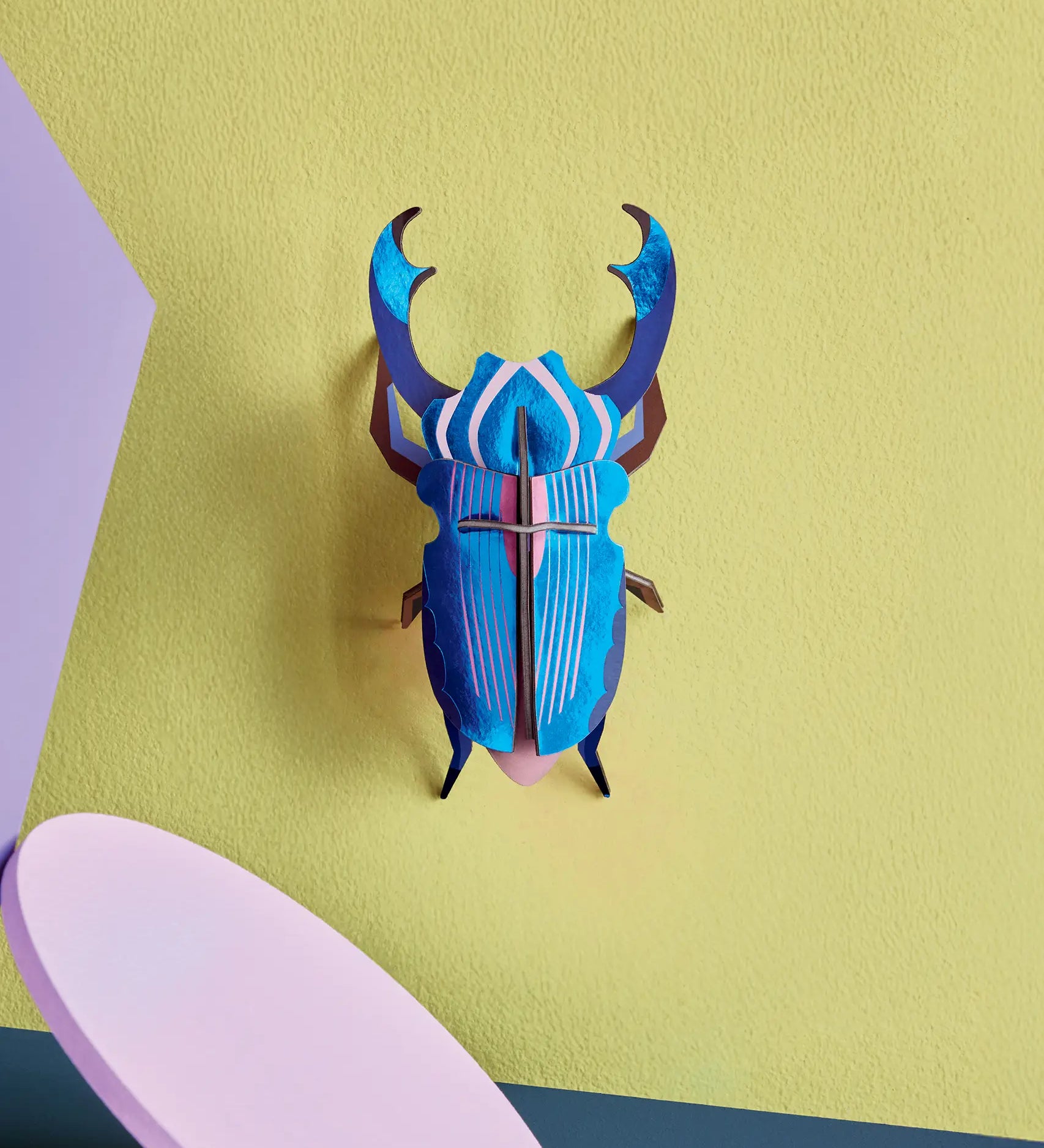 Studio Roof 3D cardboard azure stag beetle craft kit displayed on a wall 
