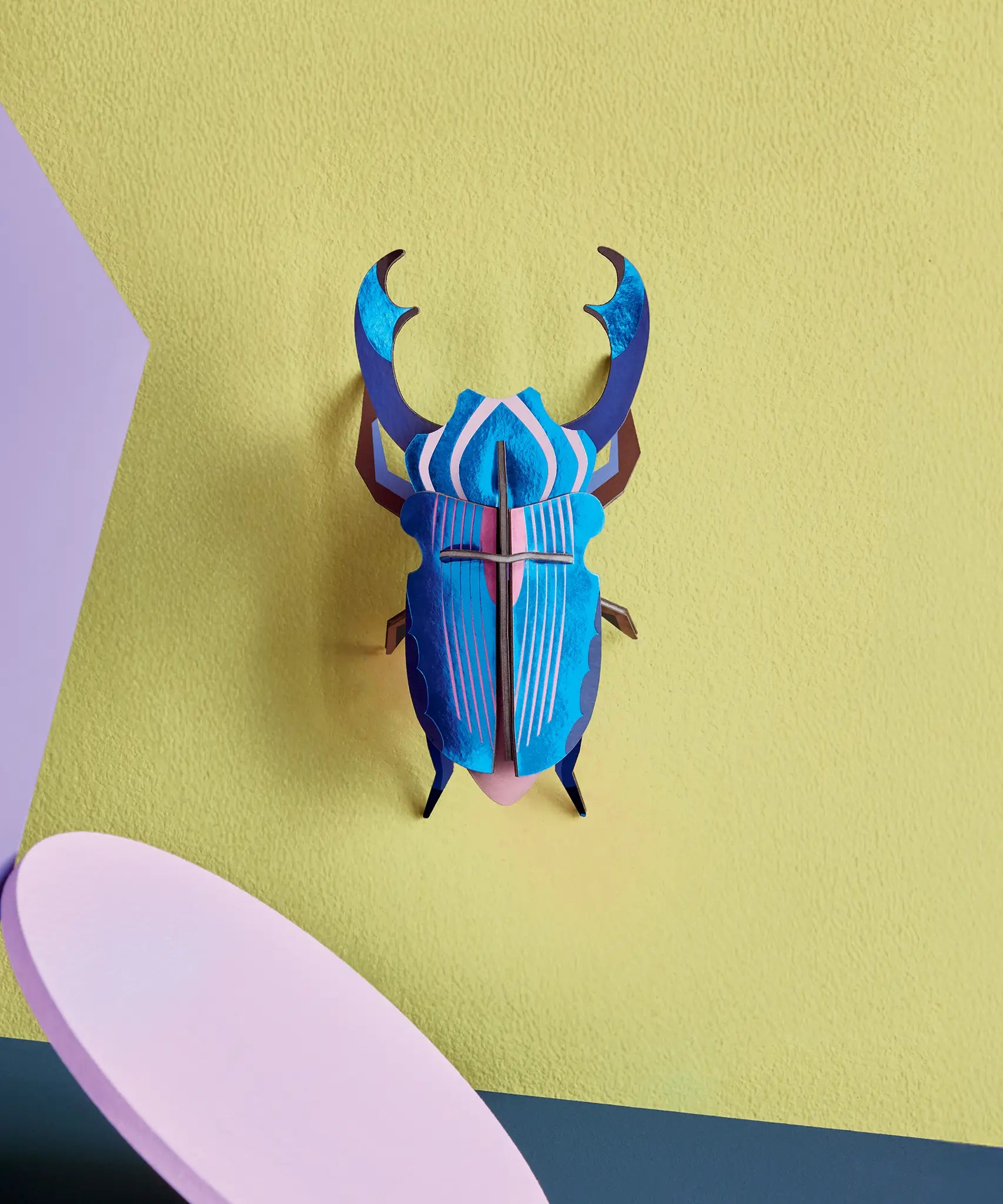Studio Roof 3D cardboard azure stag beetle craft kit displayed on a wall 
