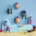 Studio Roof beetles and insects hung up on a blue coloured wall
