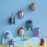 Studio Roof beetles and insects hung up on a blue coloured wall