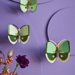  3D Wall Art. 3 beautiful