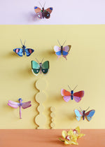 Collection of Studio Roof butterfly and insect decorations on a pastel yellow  coloured wall with a pastel lilac border on the top