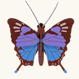 Studio Roof Insect blue Chrysalus Butterfly DIY wall art decoration. 