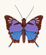 Studio Roof Insect blue Chrysalus Butterfly DIY wall art decoration. 