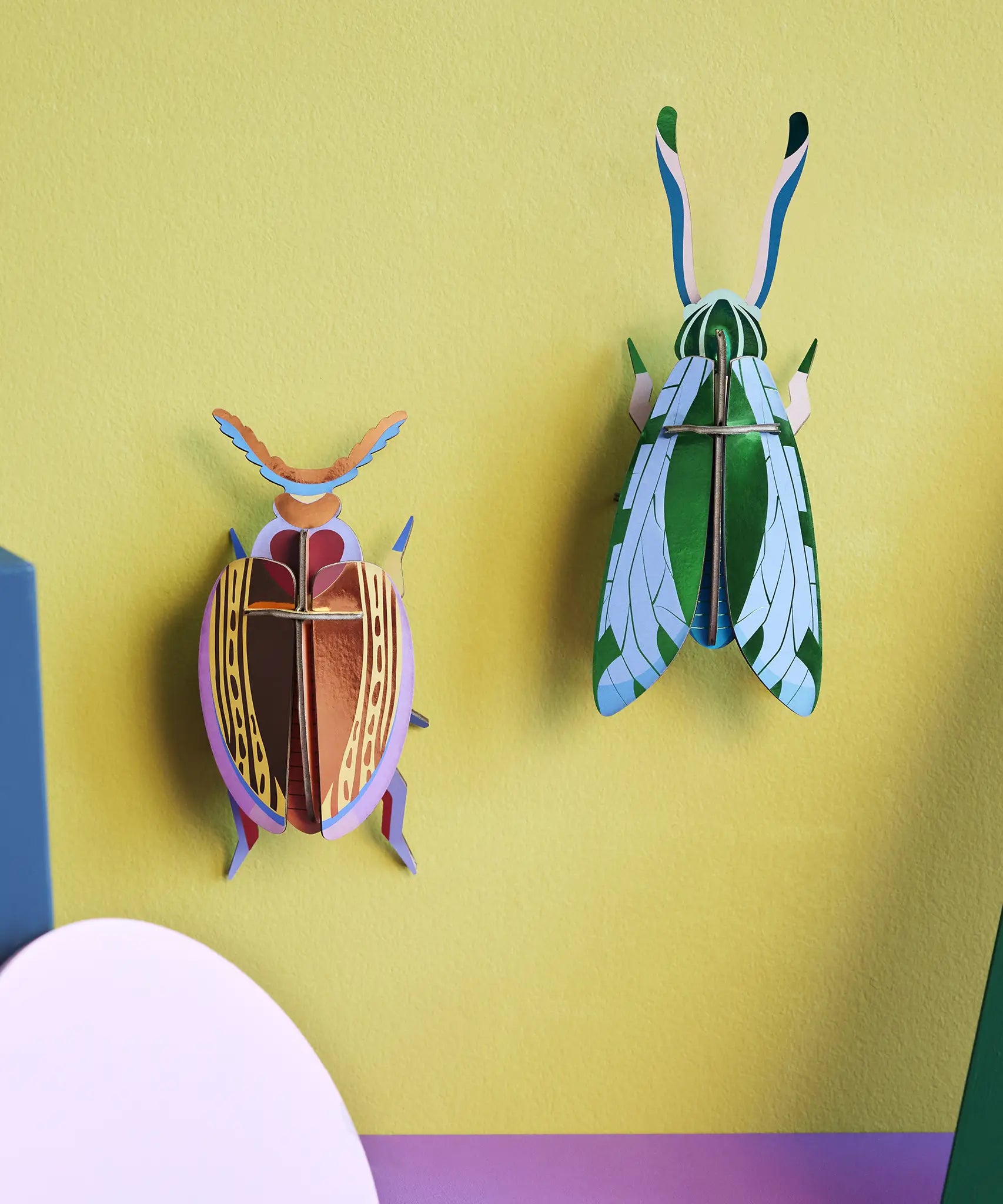 Studio Roof 3D cardboard Cuprum beetle craft kit displayed on a wall next to a jade grasshopper model