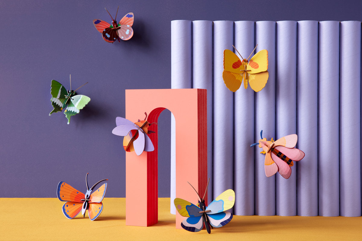 Studio Roof Delias Butterfly – Babipur