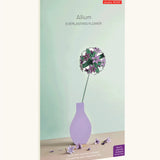Studio Roof allium everlasting flower decoration craft kit shown in it's packaging.
