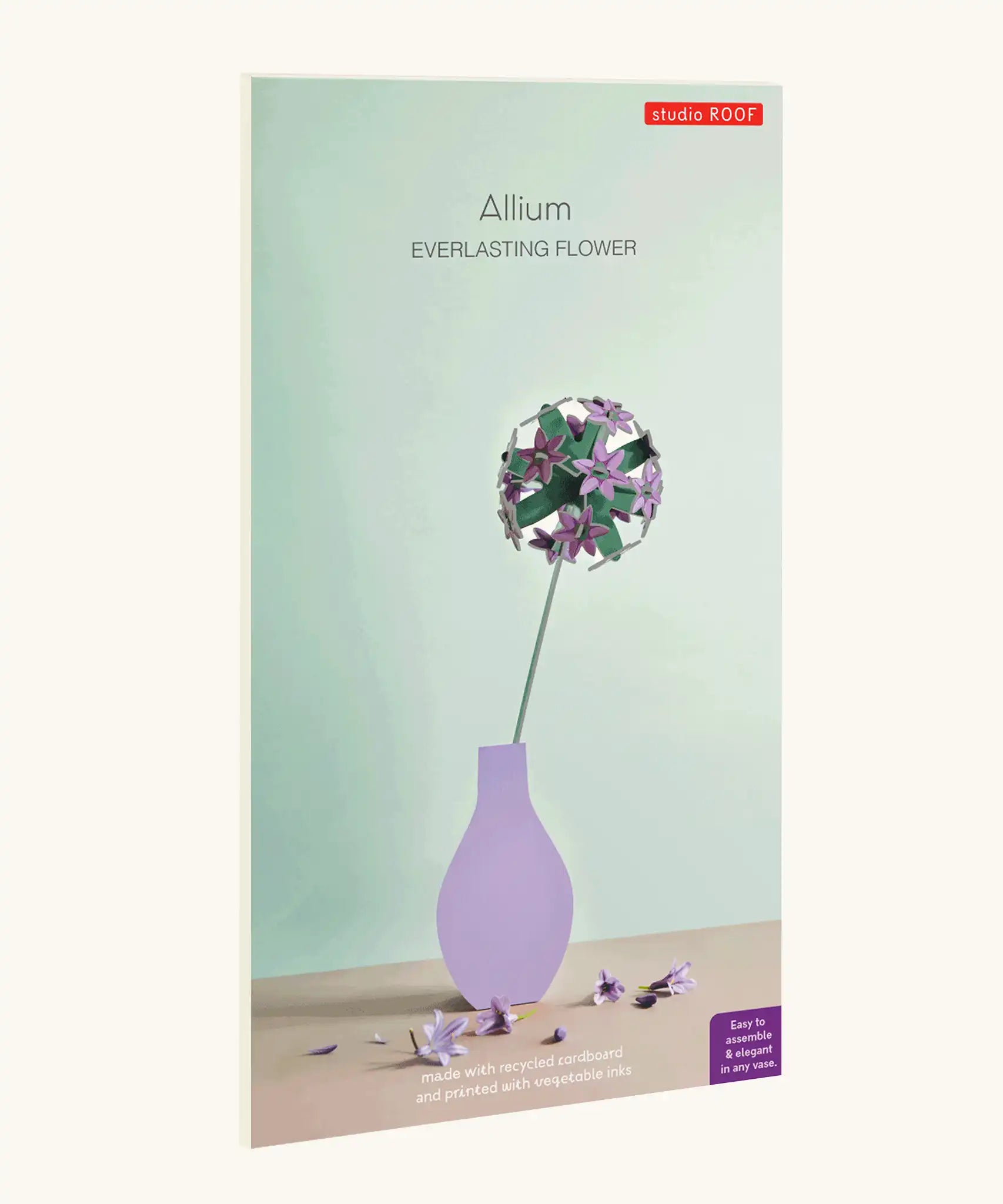 Studio Roof allium everlasting flower decoration craft kit shown in it's packaging.