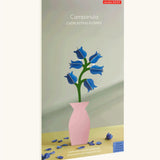Studio Roof campanula everlasting flower decoration craft kit shown in it's packaging.