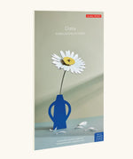 Studio Roof daisy everlasting flower cardboard flower decoration shown in it's packaging.