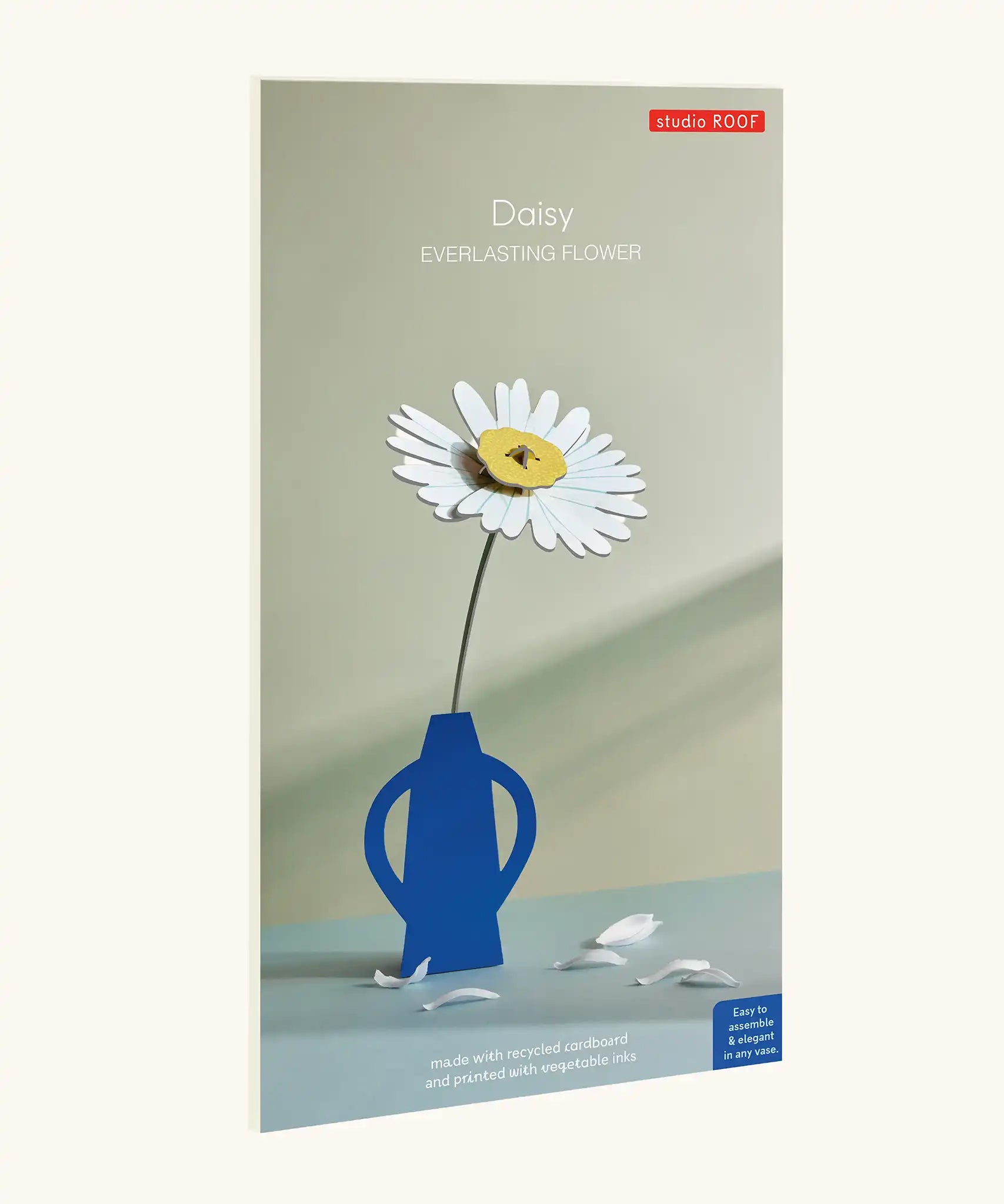 Studio Roof daisy everlasting flower cardboard flower decoration shown in it's packaging.