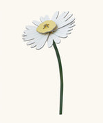 Studio Roof daisy everlasting flower cardboard flower decoration shown built.
