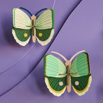  fern green