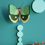 Studio Roof Fern Striped Butterfly decoration pictured on green blue painted wall with a branch with red flowers placed on a surface underneath