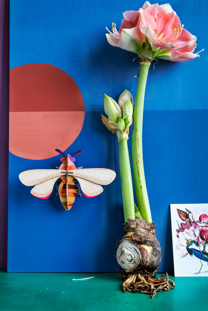 Studio Roof Honey Bee – Babipur