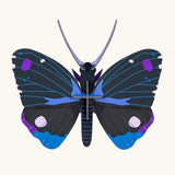 Studio Roof Insect Blue Diadem Butterfly craft kit decoration. 