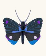 Studio Roof Insect Blue Diadem Butterfly craft kit decoration. 