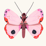 Studio Roof Insect pink Rosora Butterfly DIY wall art kit.