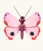 Studio Roof Insect pink Rosora Butterfly DIY wall art kit.