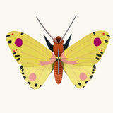 Studio Roof Insect yellow Luzerne Butterfly DIY kit wall decoration. 