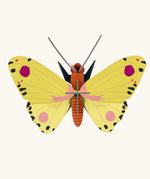Studio Roof Insect yellow Luzerne Butterfly DIY kit wall decoration. 