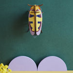 Studio Roof Mango Flower Beetle hung up on a dark green coloured wall