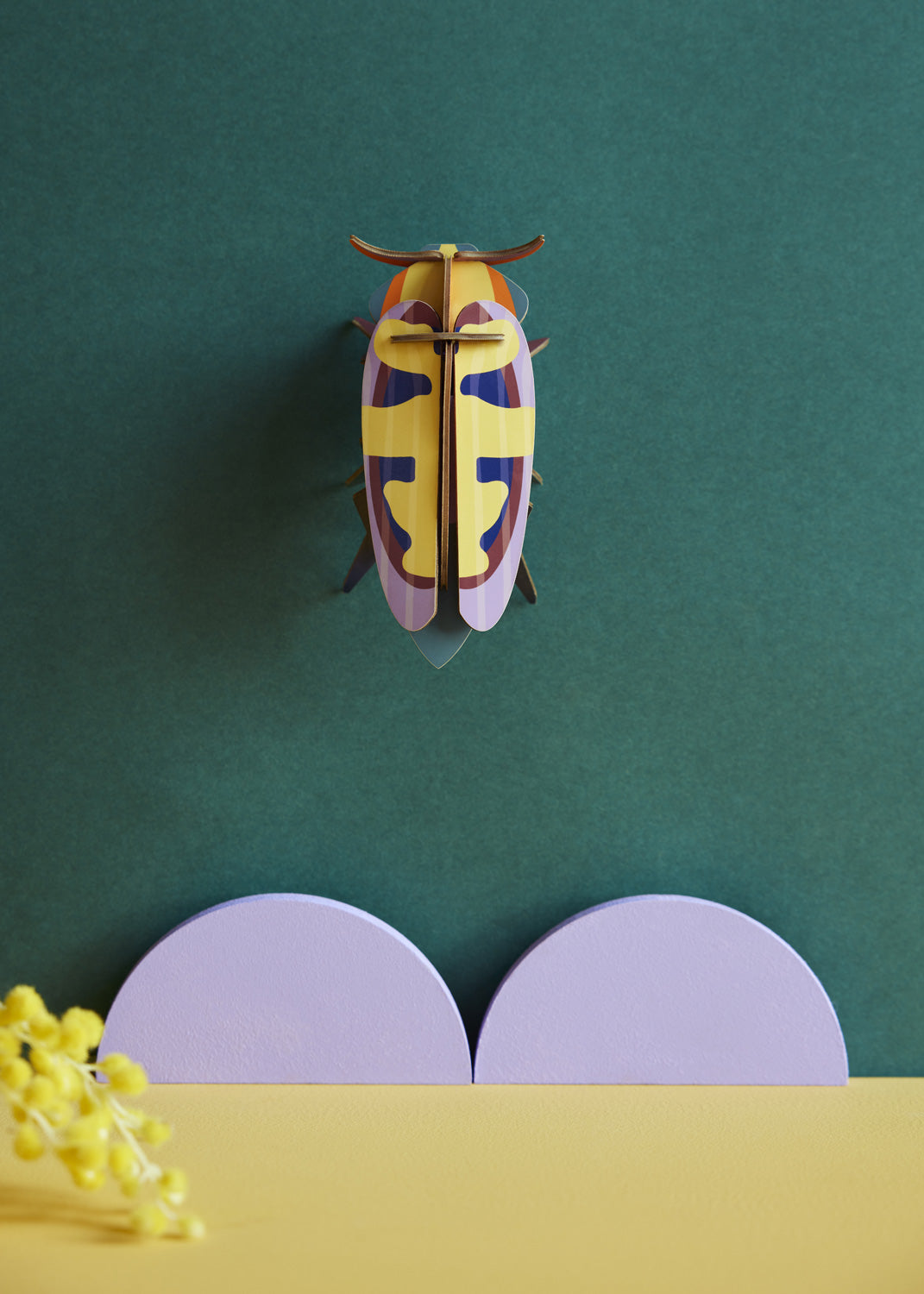 Studio Roof Mango Flower Beetle hung up on a dark green coloured wall