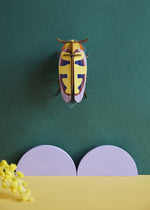 Studio Roof Mango Flower Beetle hung up on a dark green coloured wall