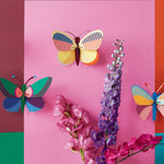 Studio Roof Butterfly wall decorations