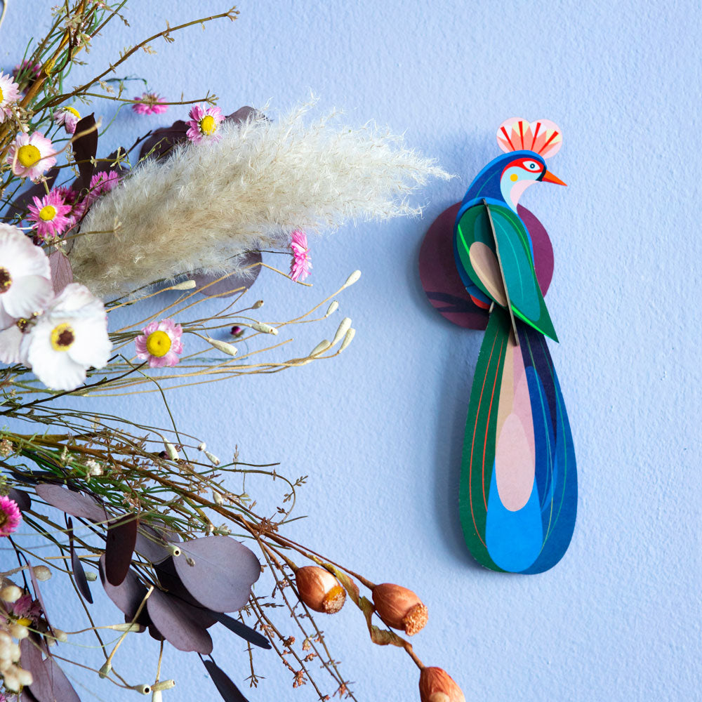 Studio Roof Paradise Bird - Banda – Babipur