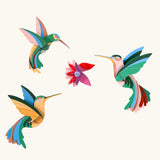 Studio Roof Dance of Hummingbirds Paradise Bird Set wall art.