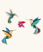 Studio Roof Dance of Hummingbirds Paradise Bird Set wall art.