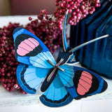 Studio Roof Peacock Butterfly