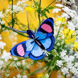 Studio Roof Peacock Butterfly