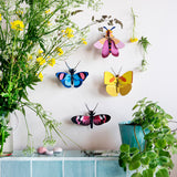 Studio Roof Peacock Butterfly