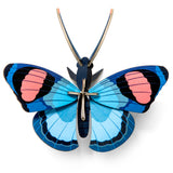 Studio Roof Peacock Butterfly